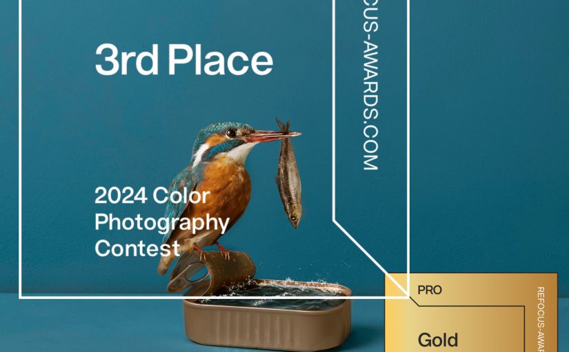 wereldwijd erkend, Color Photography Contest